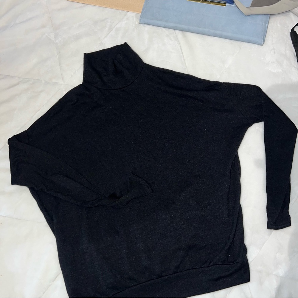 Aritzia Wilfred turtleneck